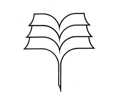 knyga2