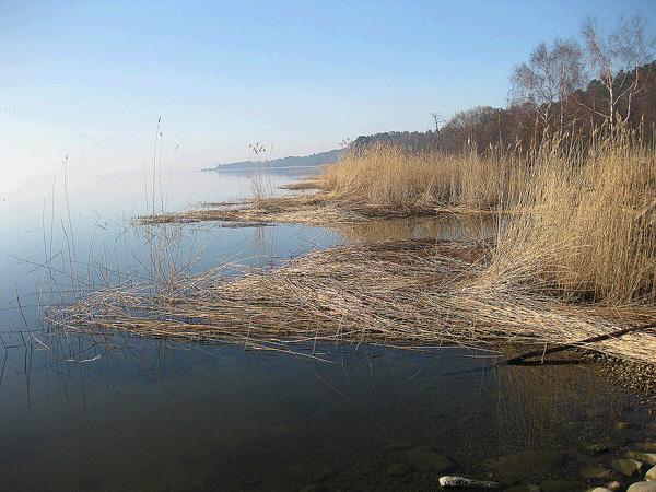 VAKARO RAMYBE KUR�Iˆ NERIJOJE6
